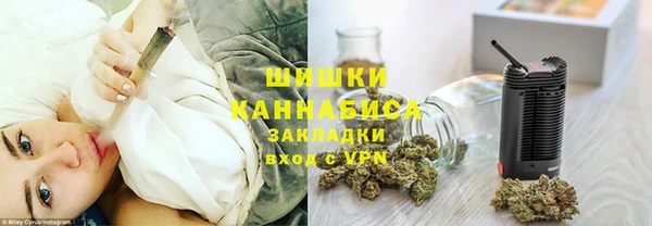 гидра Вязники