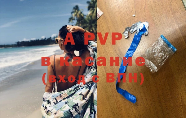 гидра Вязники