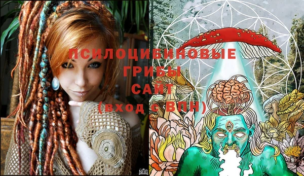 гидропоника Горняк
