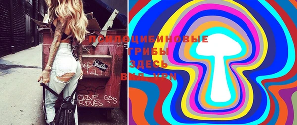 гидра Вязники
