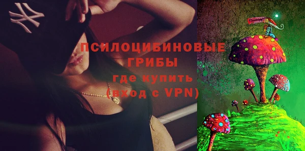 гидра Вязники
