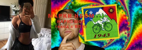 гидра Вязники